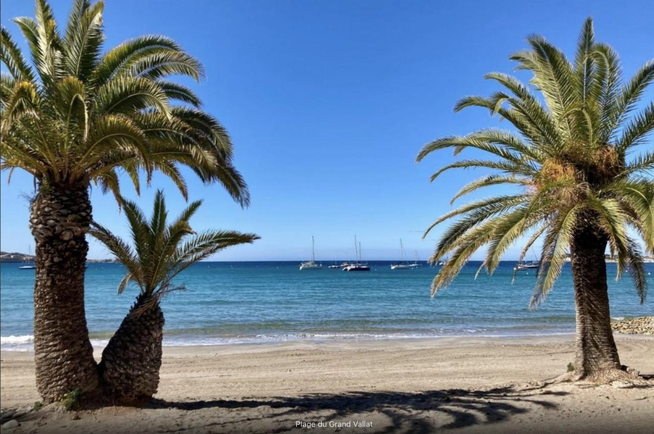 Bandol: Elegant Et Cosy 2 Pieces, Proche Ville Et Plage Экстерьер фото